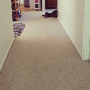 Coco, Leura Massage