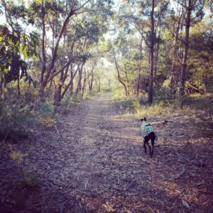 Bushwalking